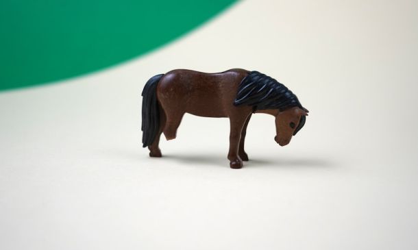 Home 27 Injured Teacher Sues Palm Beach County School District After Firing