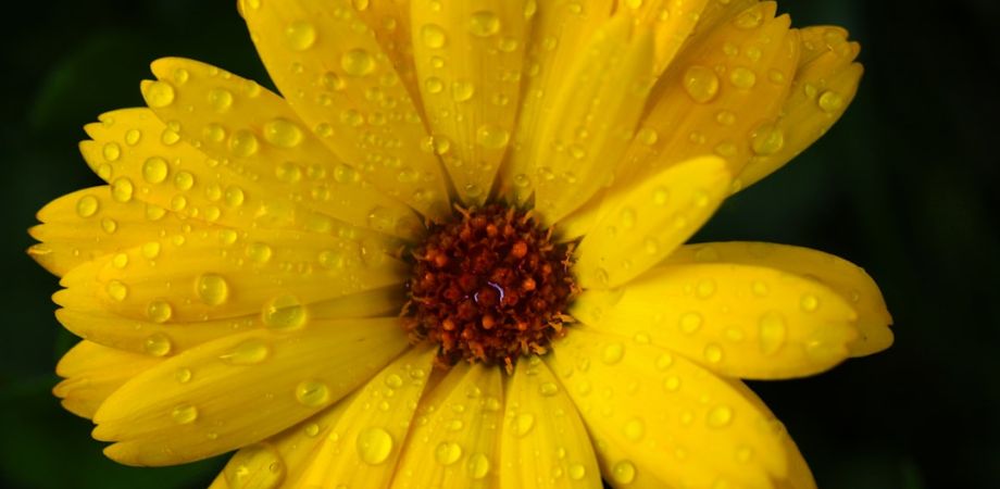 Family / Kids 12 after public gym added to housing development to fulfill requirement boca officials consider changes Family / Kids