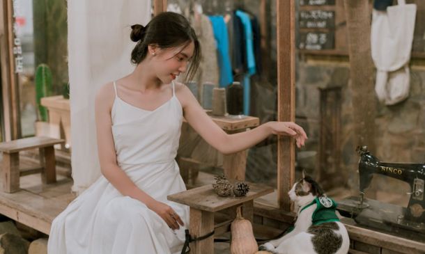 Best Ultimate Boca Raton Cinco de Mayo 2025 Guide 6 Boca Raton bagels – Must-See Ultimate NY Bagels: Boca's New #1 Spot