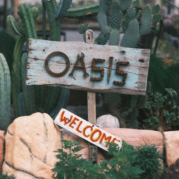 Home 19 oasis wu tang clan phil collins to join rock roll hall of fame 12 Home