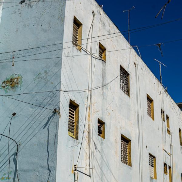 Home 17 Boca Raton Teen With Severe Autsim Arrested By SWAT For Viewing Child Porn