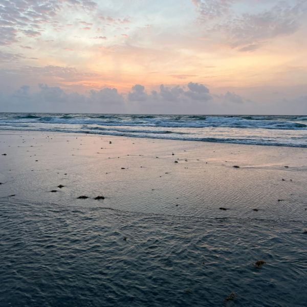 Home 20 riviera beach is reviewing how it appoints advisory board members 7 Home