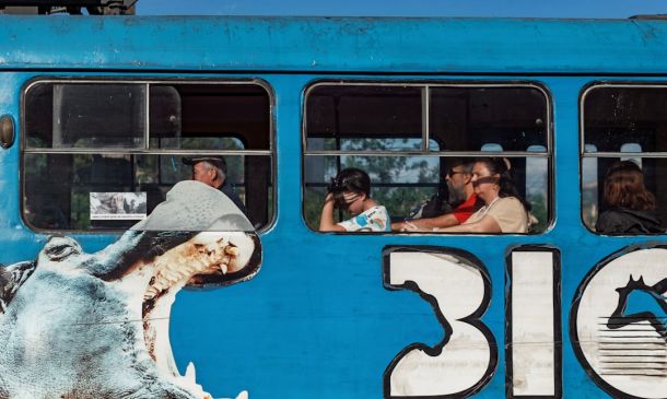 Boca Raton: Trolley Tours Thrive in Tourist Paradise