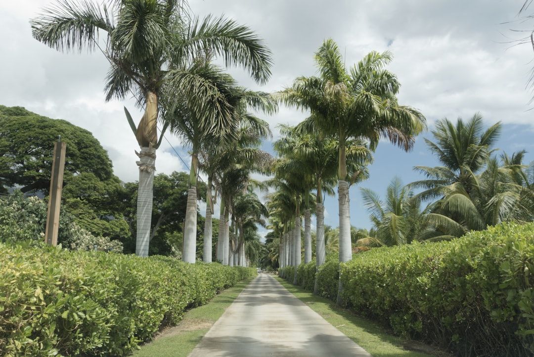 Boca Raton: Luxury, History & Architectural Gems
