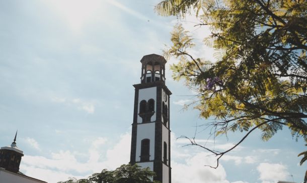 FAU Professor on Leave After Social Media Posts