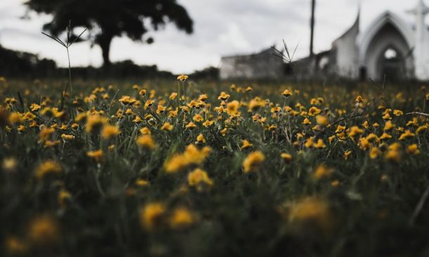 Rip Current Statement issued October 12 at 2:17AM EDT until October 13 at 8:00PM EDT by NWS Miami FL