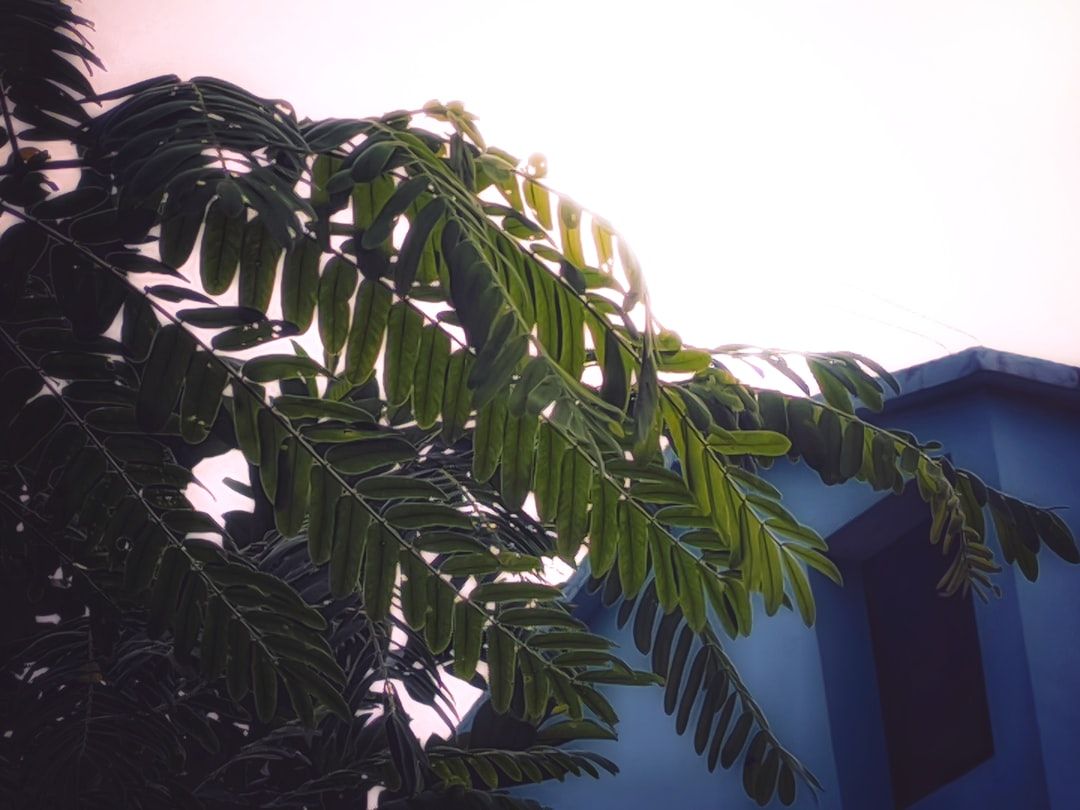 WEATHER ALERT: Unusual Strong Wind In Boca Raton, Delray Beach, Boynton Beach