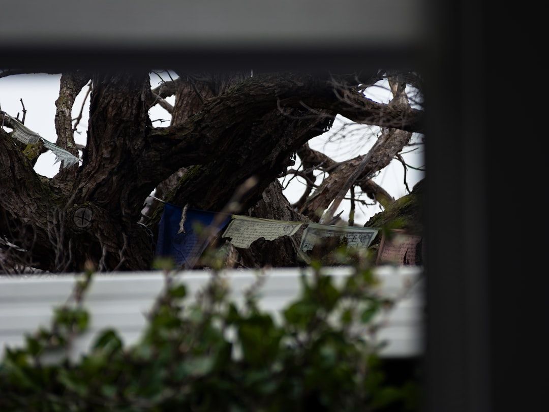 Boca Raton Hurricane Threat: Prepare Now