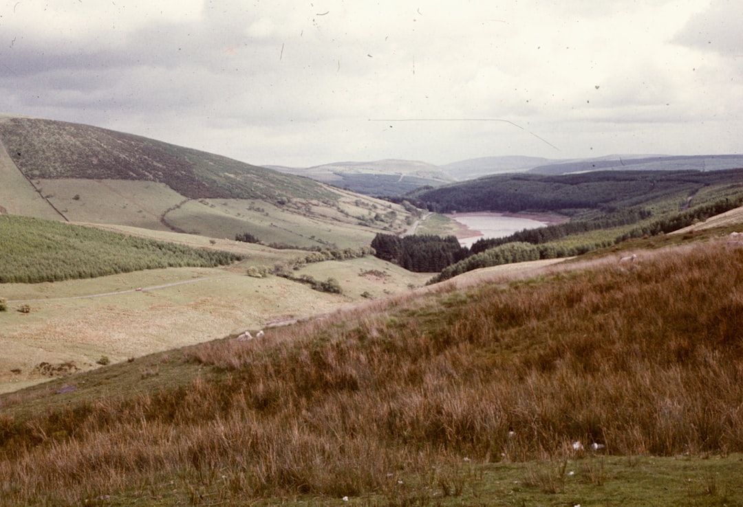 Boynton Beach Man, 21, Dies Following Boating Accident Near Key Largo