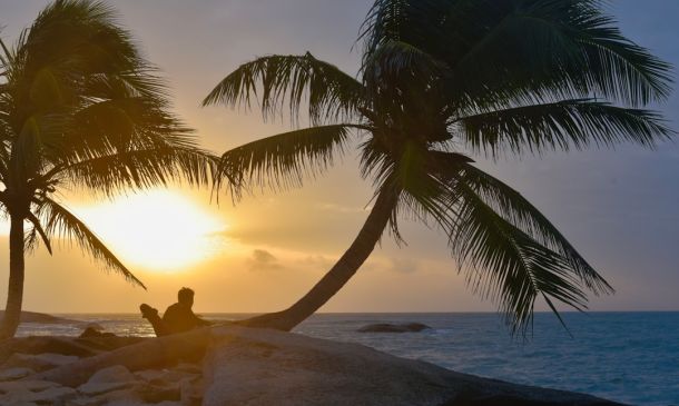 COCONUT CREEK GENESIS: We Want To Know Your Experience With This Dealership