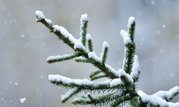 COLD! Boca Raton Temps To Drop Into The 40s Within Days