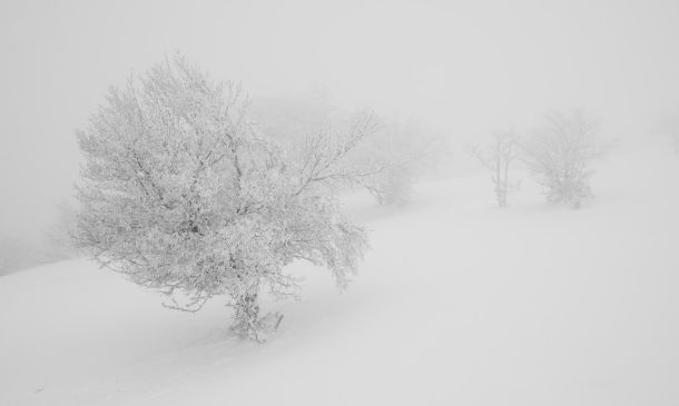 COLD WEATHER ADVISORY ISSUED: Wind Chills In The 30s In Boca Raton, Delray, Boynton Beach