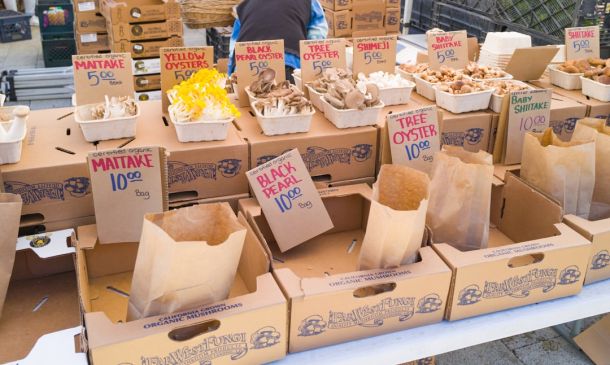 Boca's Best Fried Rice Fest!