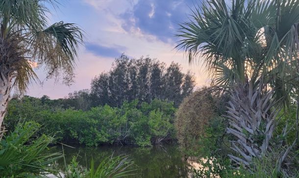 Perfect Sunday in Boca Raton