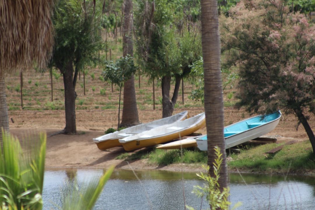 Boca Raton Plane Crash: Updates & Investigation