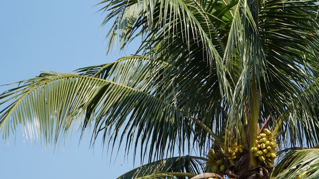 Boca Raton High School Football Showdown