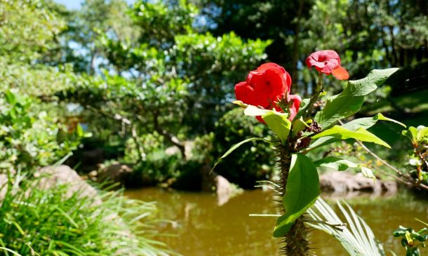 Delray Beach Teen Shoots Self In Head While Playing With Gun