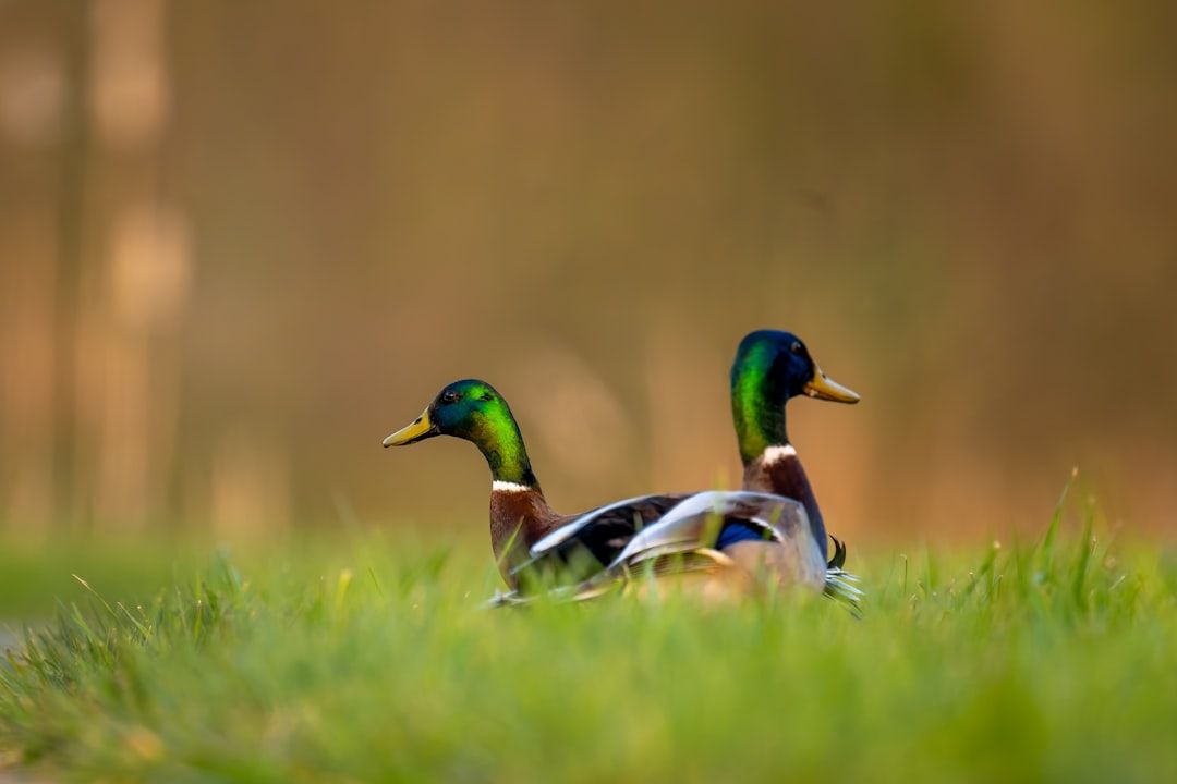 Male Publix Shopper Arrested After Hitting On Teen Male Cashier In Boca Raton