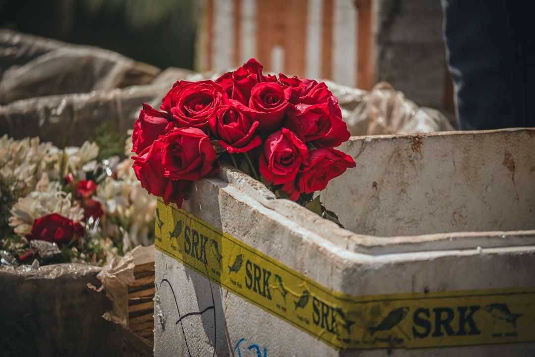 Remembering Rosemarie: A Boca Raton Life