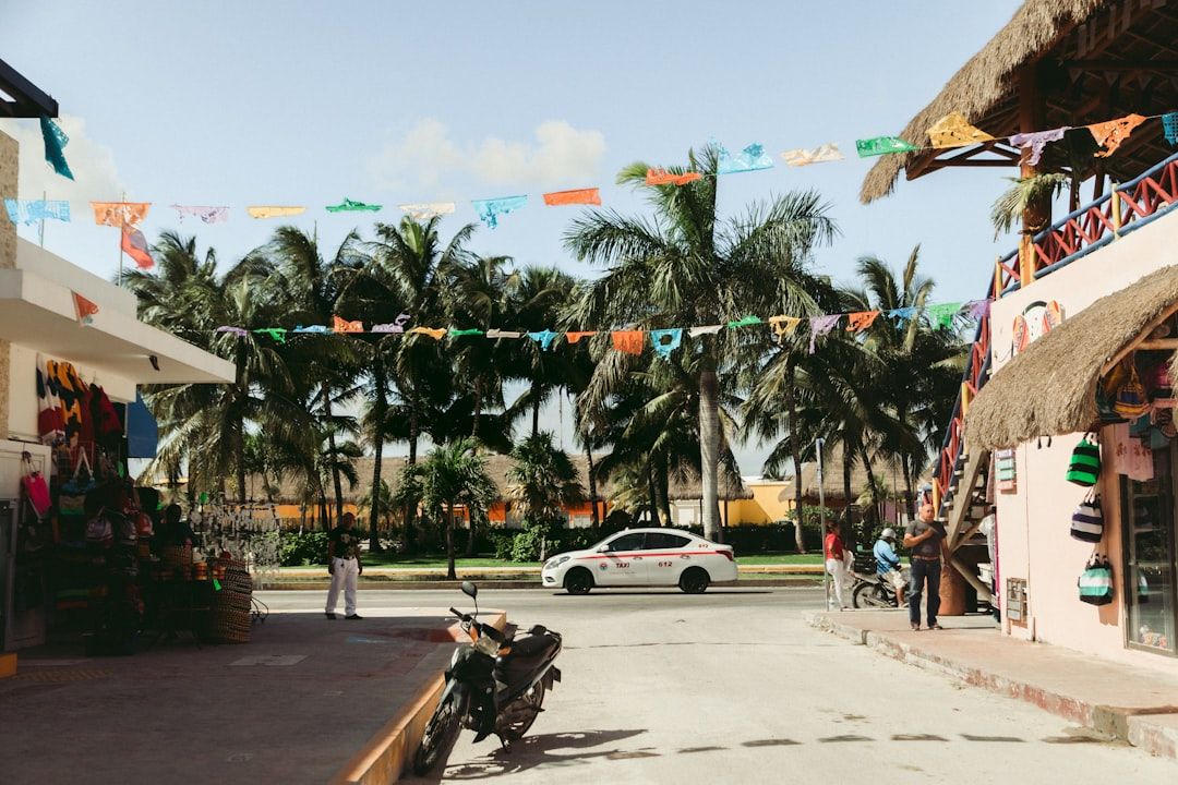 Boca Raton's Sugar Sand Park: An Artistic Oasis