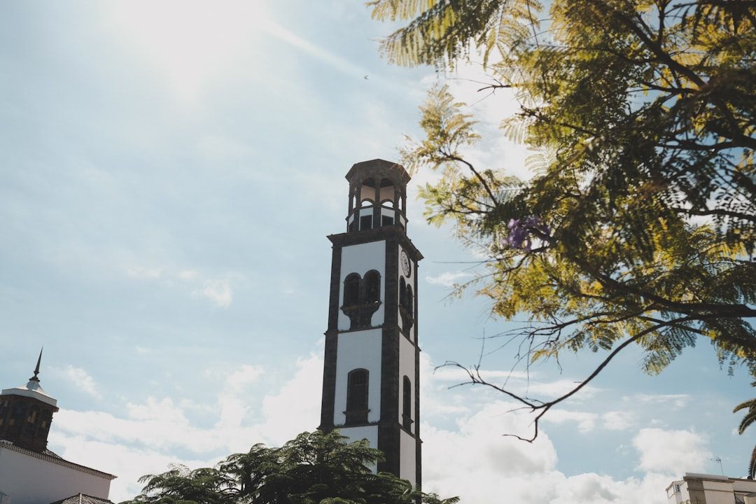 FAU Professor on Leave After Social Media Posts