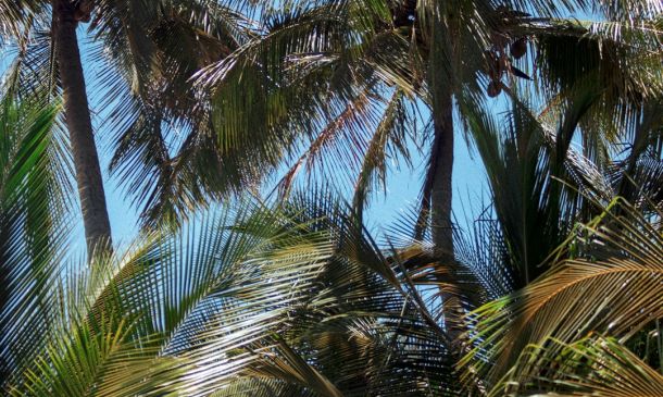 Tropical Depression Could Form Late This Week in Atlantic, Track Toward Caribbean