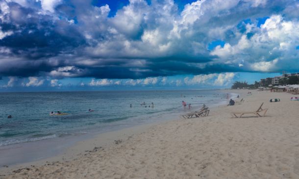 Boca Raton Startup: Predicting Tides with AI