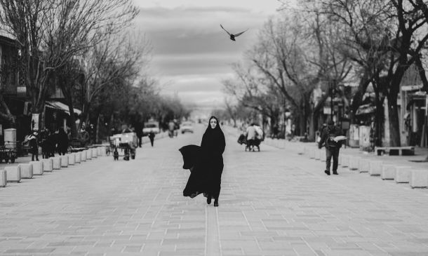 Woman Accused Of Abusing Emus, Pigs, Other Animals In Lake Worth