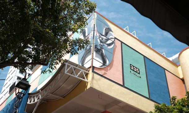 Boca Raton's New Park Mural: A Celebration of Nature