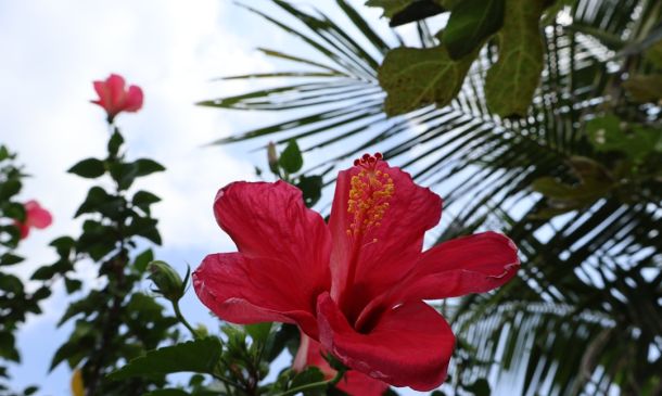 Boca Raton's Perfect Sunday