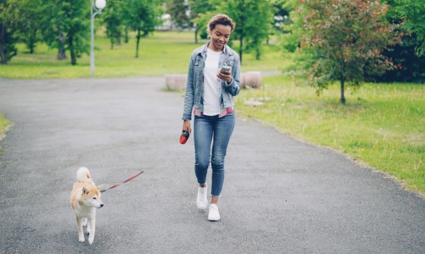 Owners of The Boca Raton Seek Permission to Build Potential Tower to 100-Feet