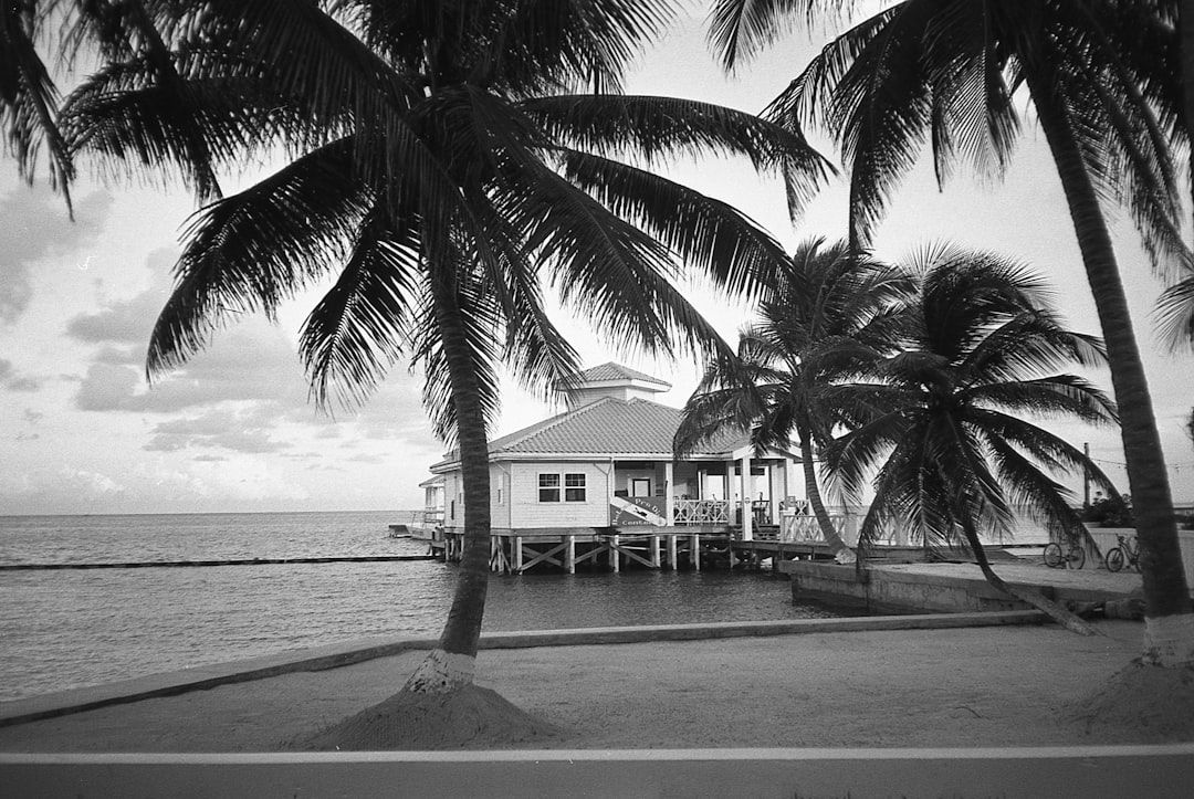 Boca Raton Christian Volleyball: Action & Emotion