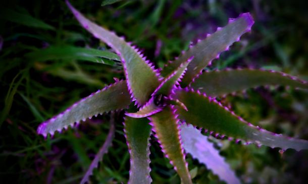 South Florida Democratic Congresswoman Indicted