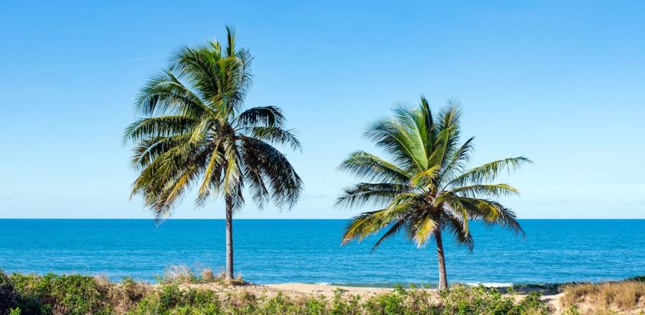 boca c10494 24d72a9b Things To Do