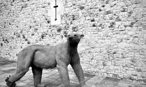 Royal Palm Yacht Club Evacuation Lifted After Major Gas Leak