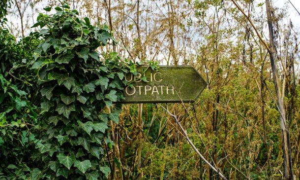 Public Schools Closed In Palm Beach County On Thursday