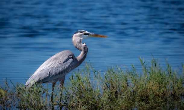 Boynton Beach Approves Massive “Feeding South Florida” Warehouse