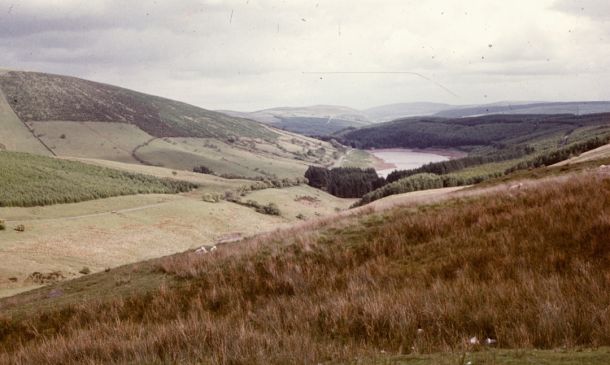 Boynton Beach Man, 21, Dies Following Boating Accident Near Key Largo