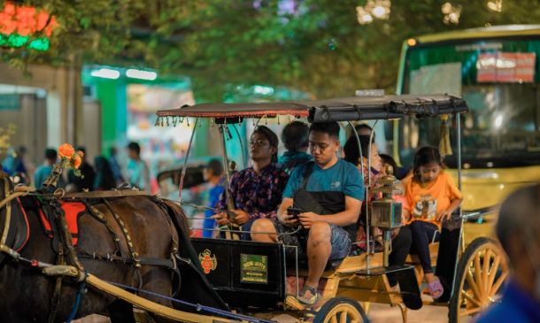 Boca Raton's Hidden History: A Trolley Tour