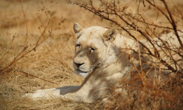West Boca Raton Crash Leaves One Dead On Yamato Road