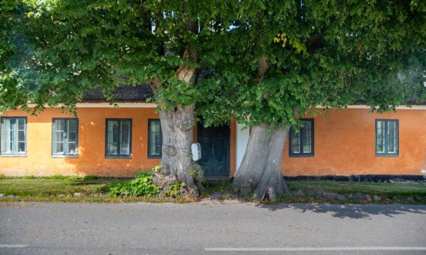 HAVE YOU SEEN HELEN? PALM BEACH COUNTY ALERT FOR 98 YEAR OLD BOCA WOMAN