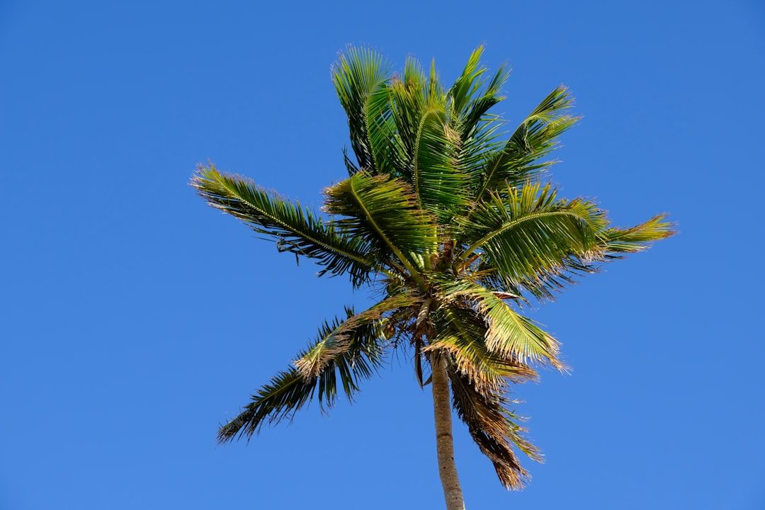 Boca Raton: Sunny Weekend, Mild Week Ahead