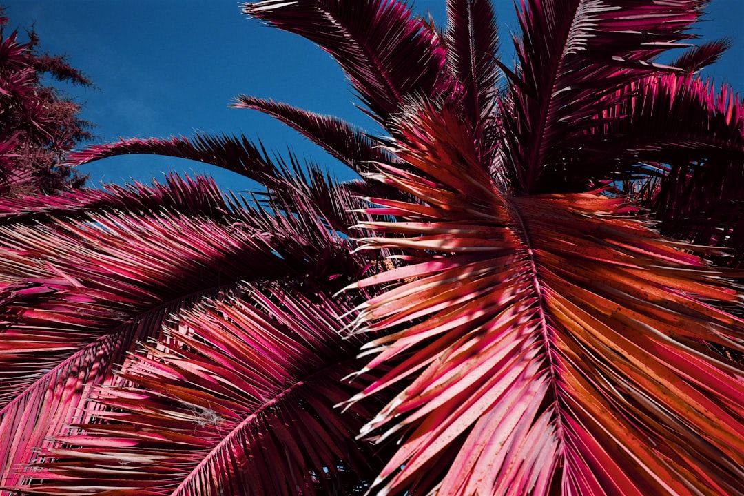 Palm Beach County Breaks Ground on “Affordable” Housing