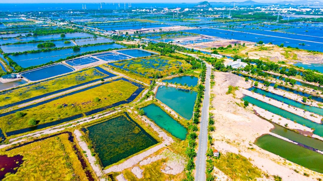 Boca Raton's Massive Pickleball Hub Breaks Ground