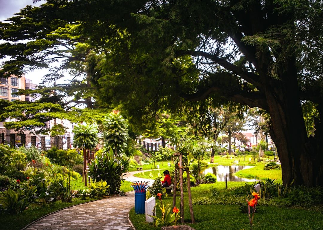 15 Homes, 15 Years: A Partnership Built to Last