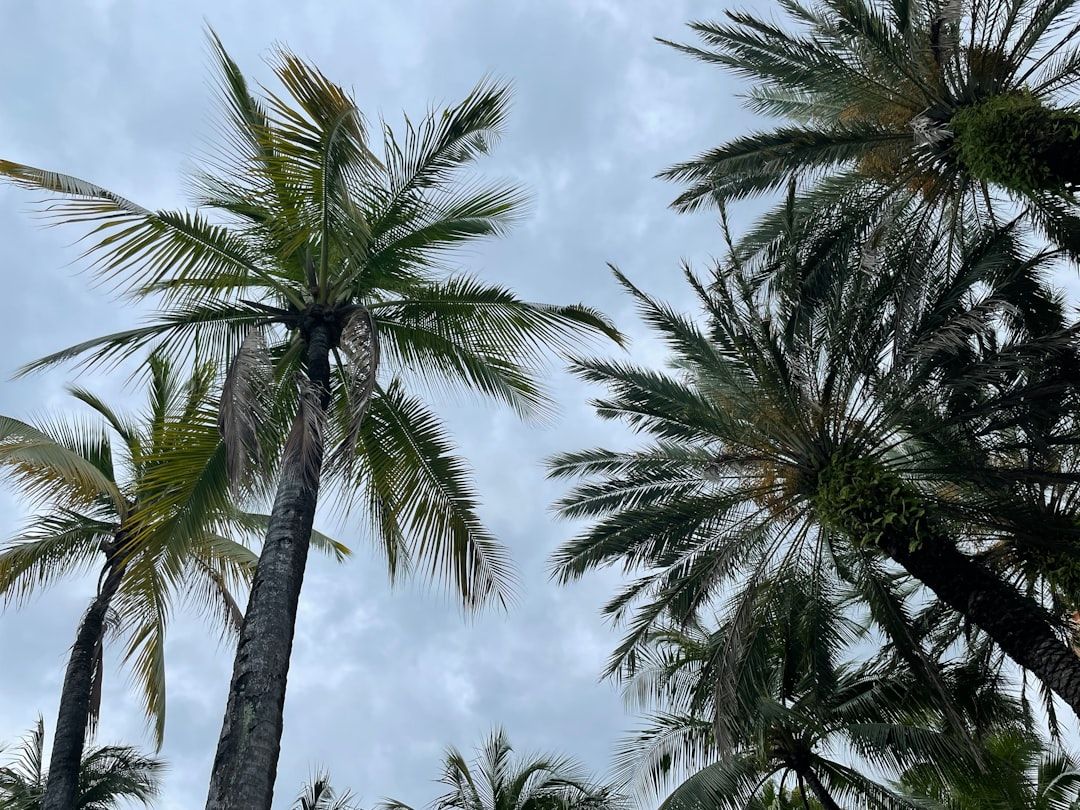 Boca Raton Weekend: Sun, Fun & Possible Showers