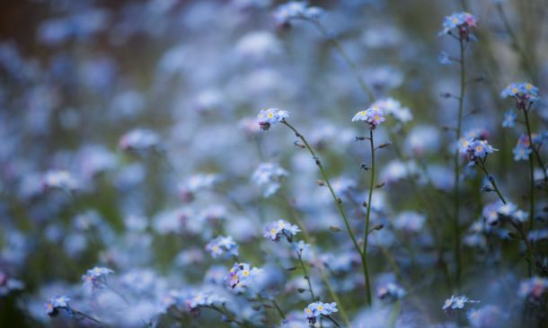 NOT PLAYAING AROUND: French Man Claims Sink Injury In Boca Playa Bowls