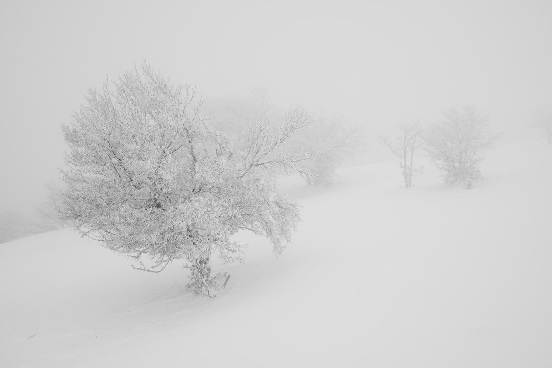 COLD WEATHER ADVISORY ISSUED: Wind Chills In The 30s In Boca Raton, Delray, Boynton Beach