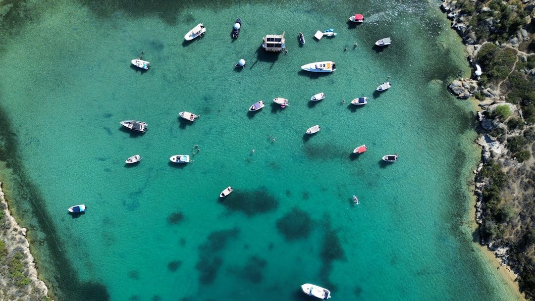 Boca Bash 2025: Wild Lake Party Recap