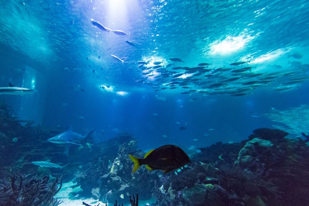 World's First Coral Conservation Center Opens